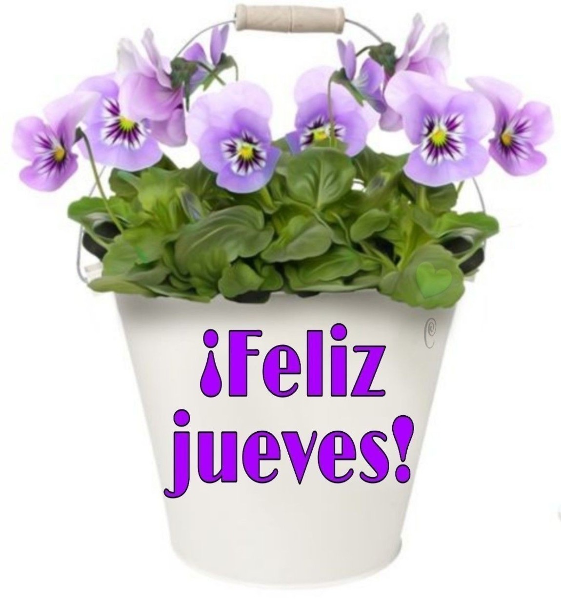 Feliz Jueves 118