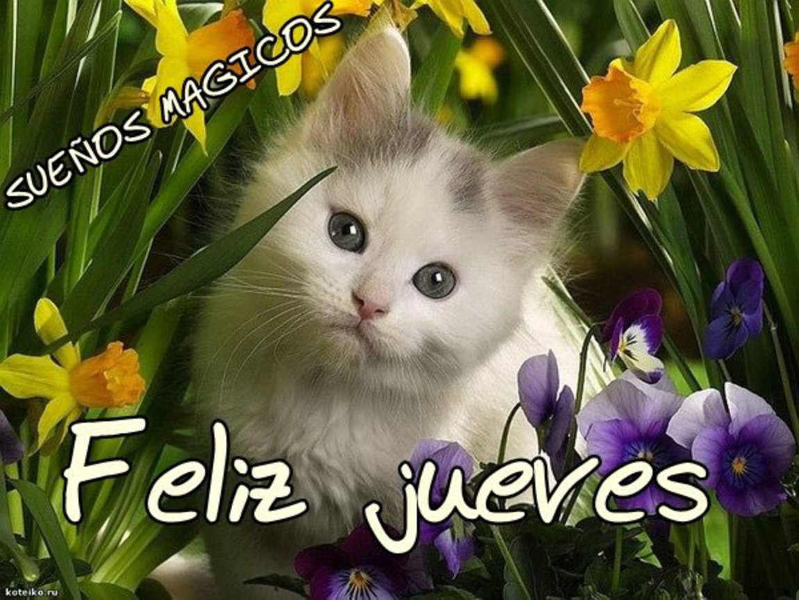 Feliz Jueves Buen Día 66