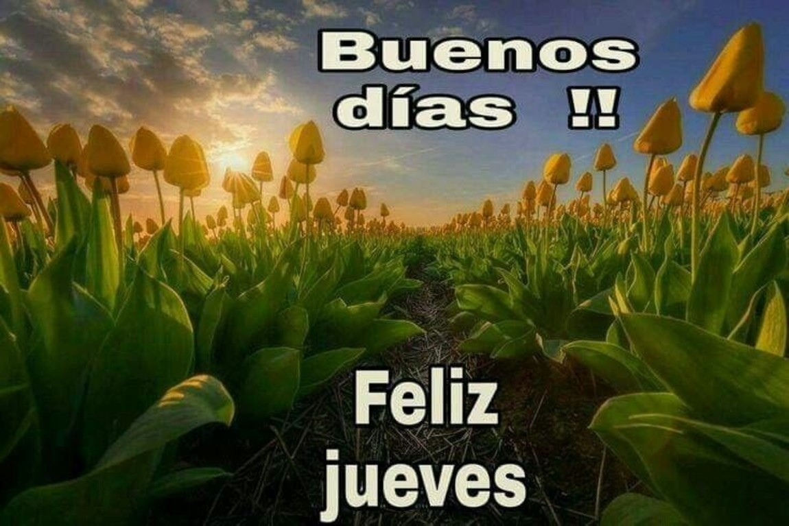 Feliz Jueves WhatsApp 158