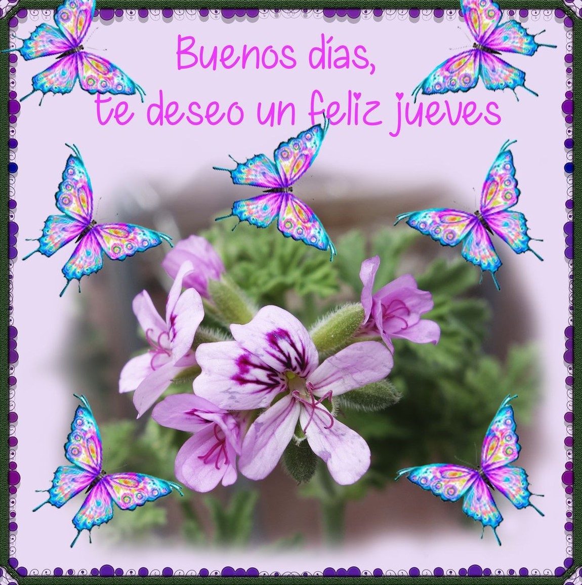 Feliz Jueves bellas imágenes 237