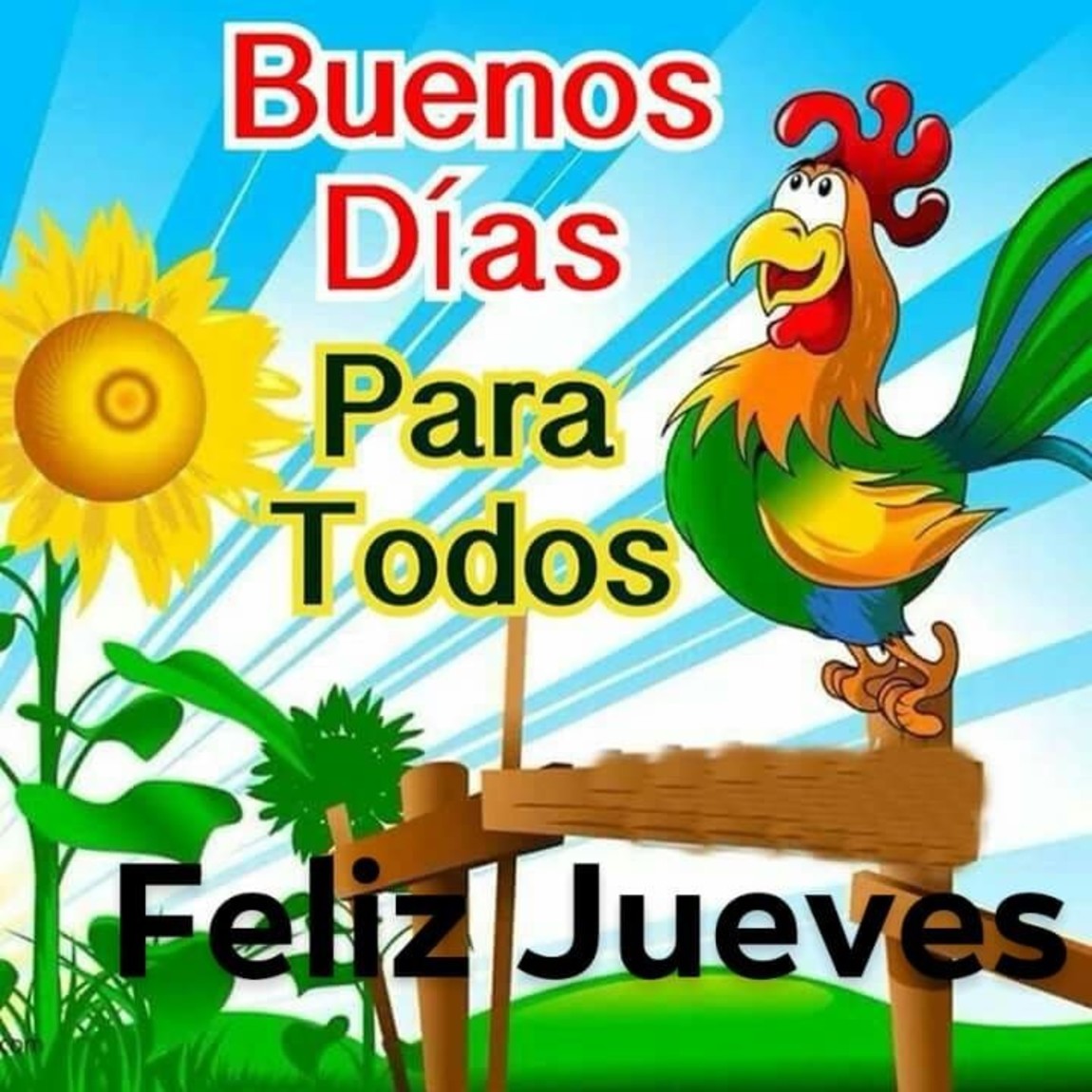 Feliz Jueves bellas imágenes 238