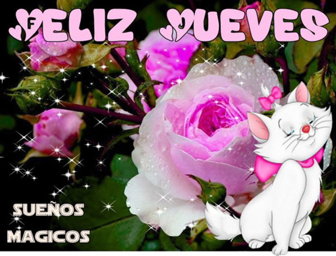 Feliz Jueves con flores bellas imágenes 49