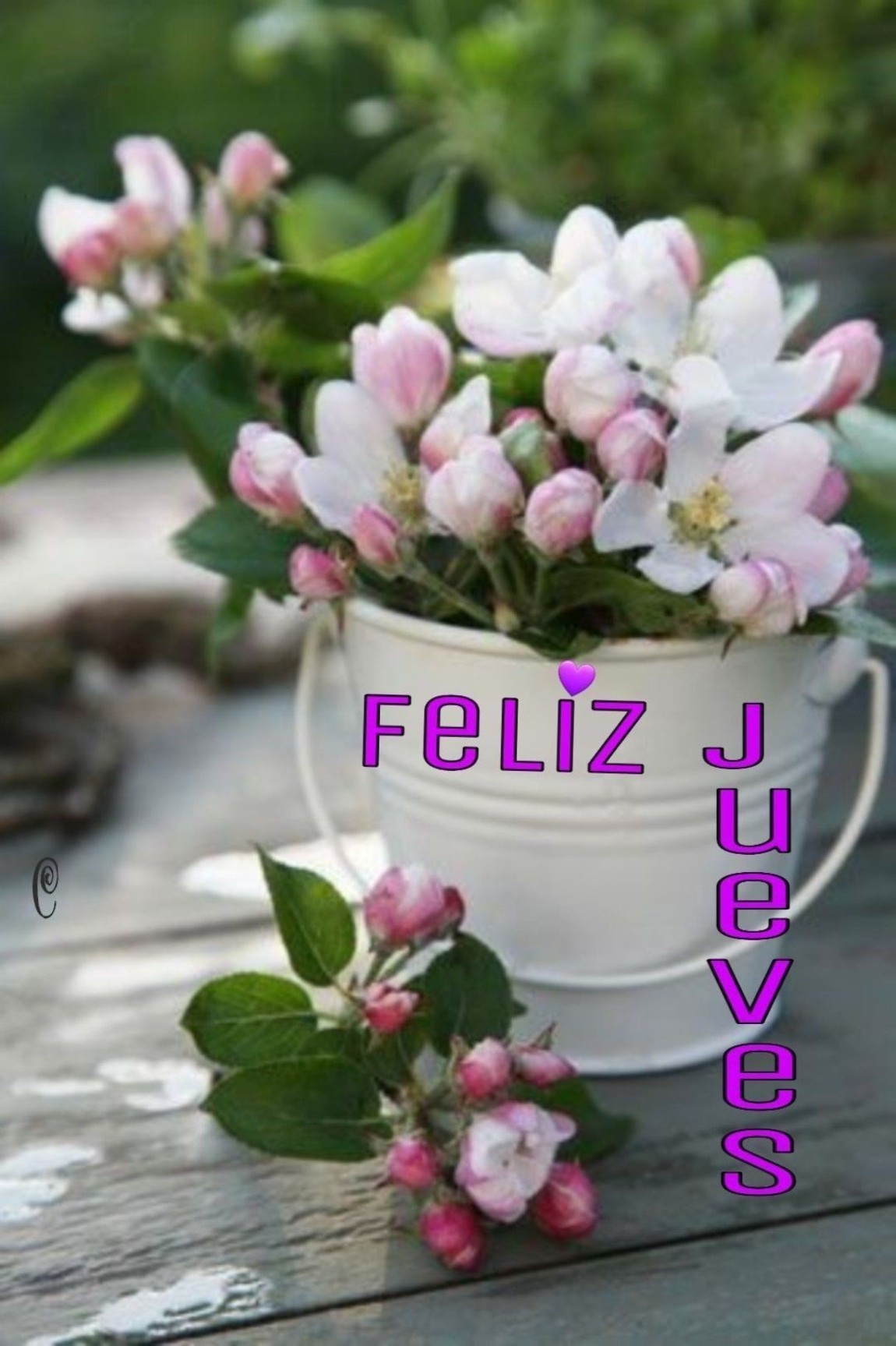 Feliz Jueves con flores bellas imágenes 8