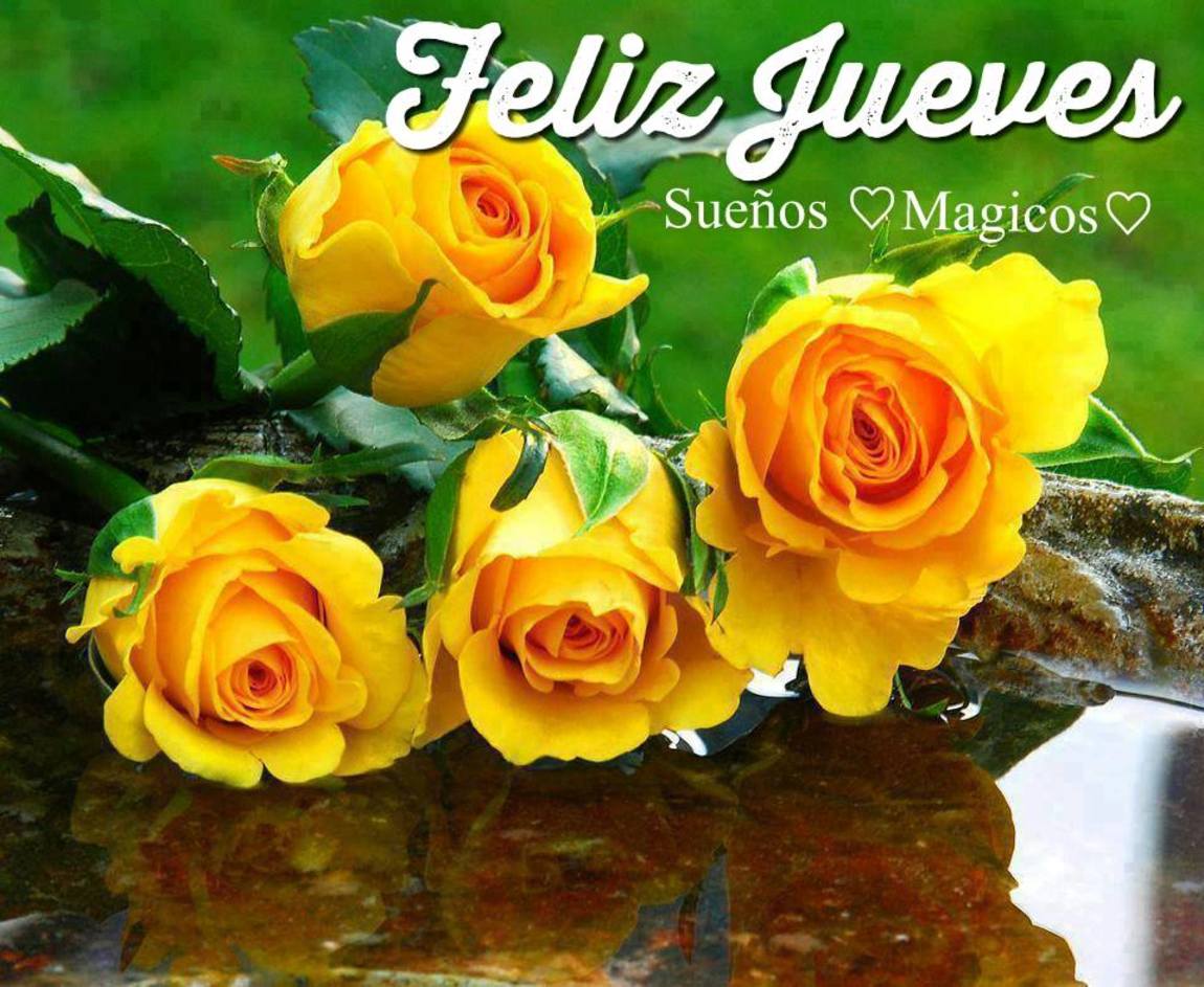 Feliz Jueves fotos Google 196