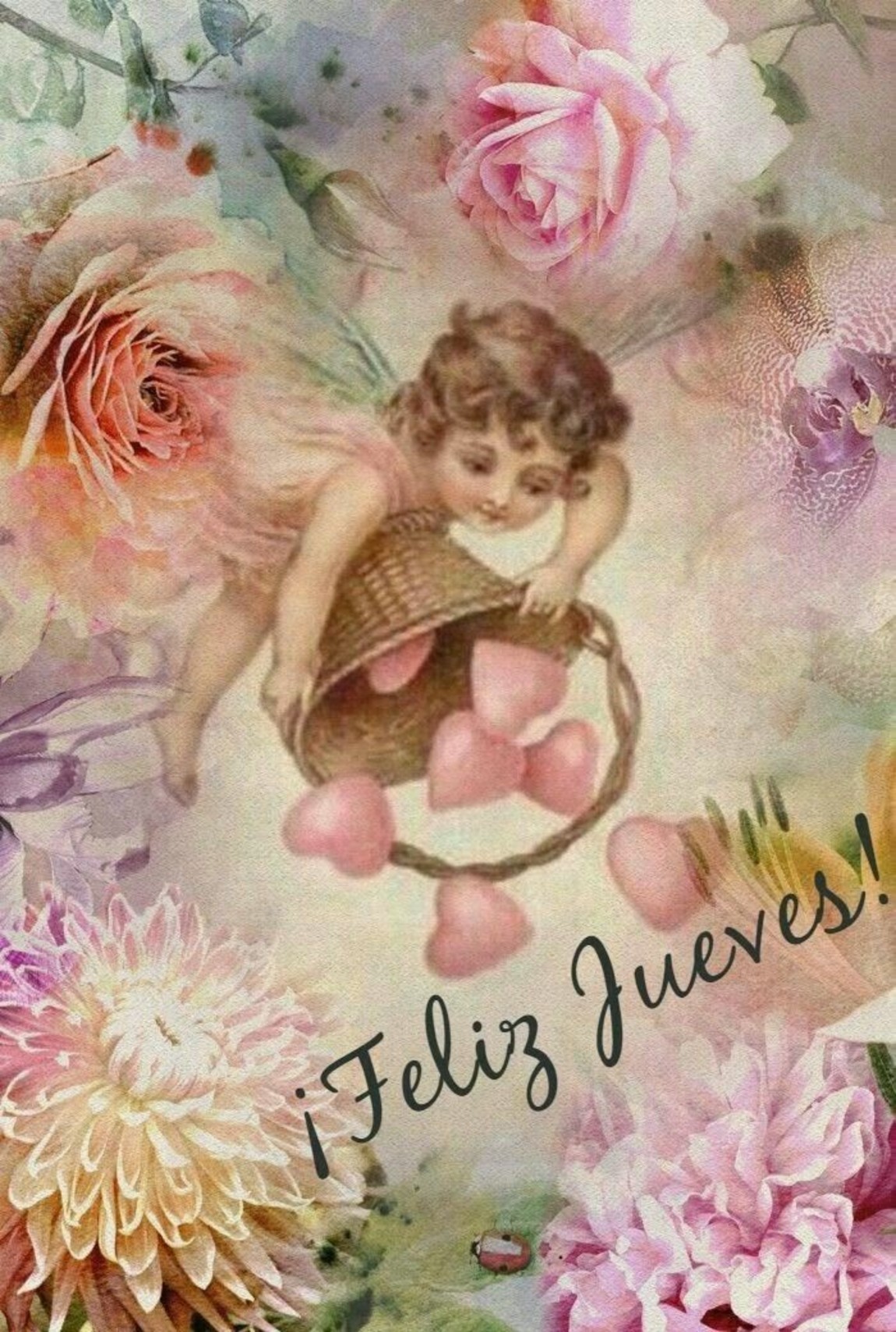 Feliz Jueves fotos Google 197