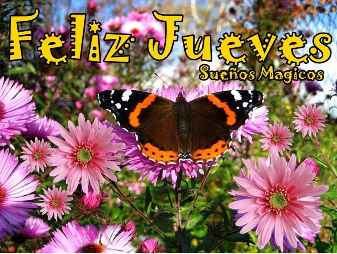 Feliz Jueves imágenes bonitas 203