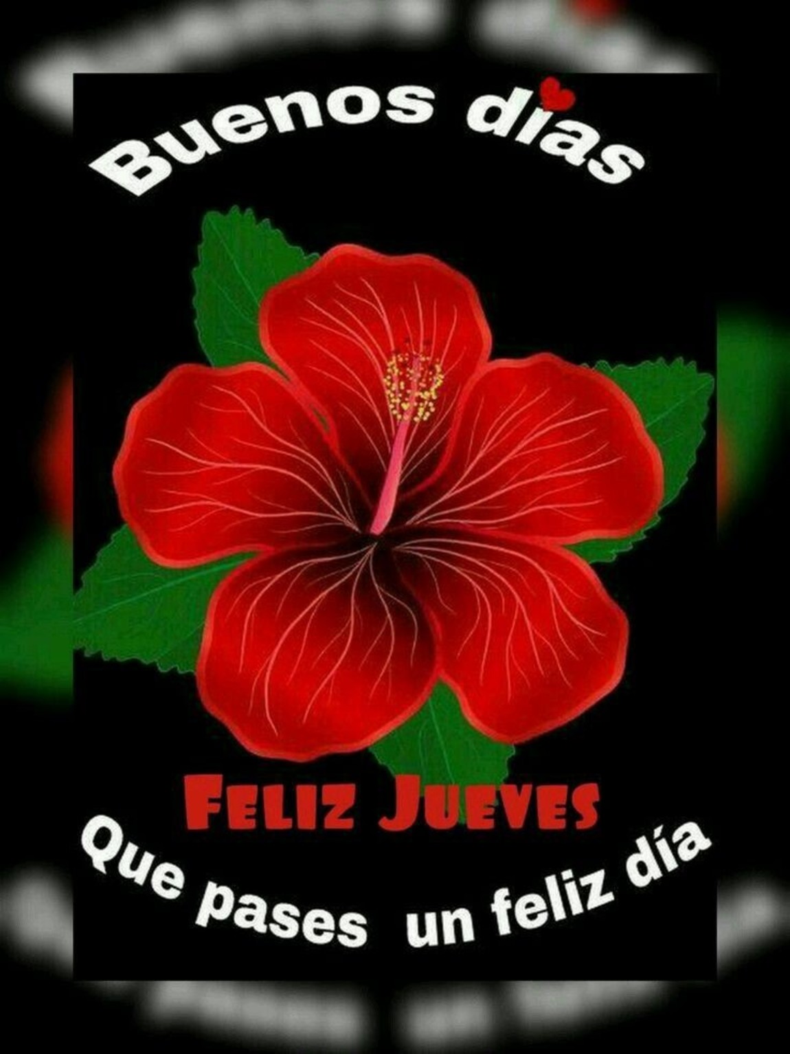 Feliz Jueves imágenes bonitas 204