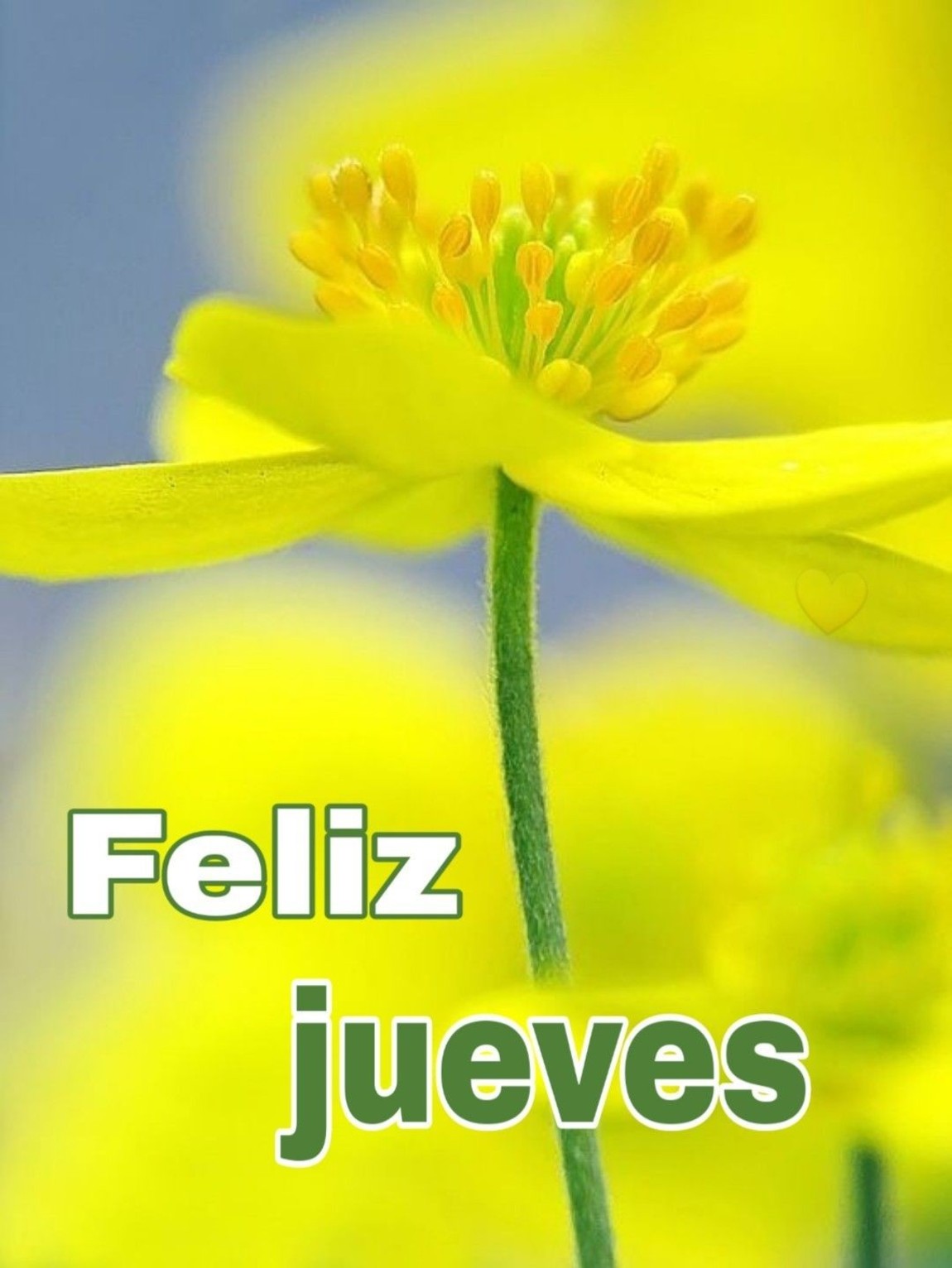 Feliz Jueves imágenes hermosas 22