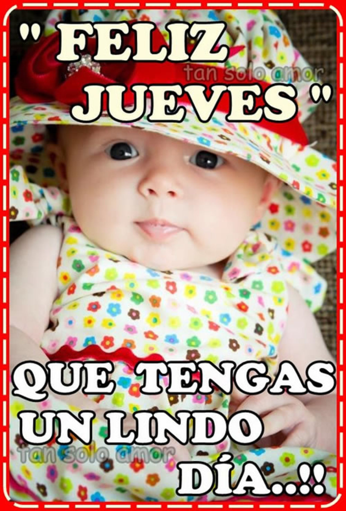 Feliz Jueves lindas imágenes 222