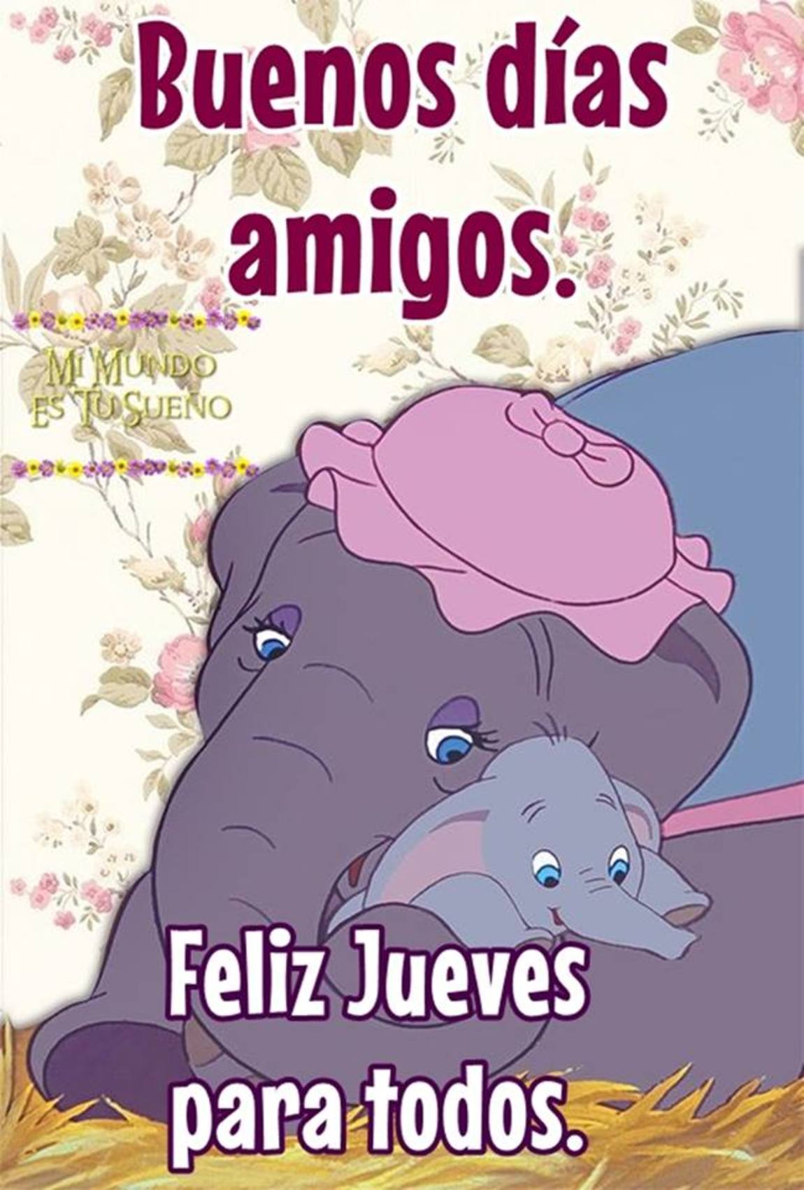 Feliz Jueves para todos 23