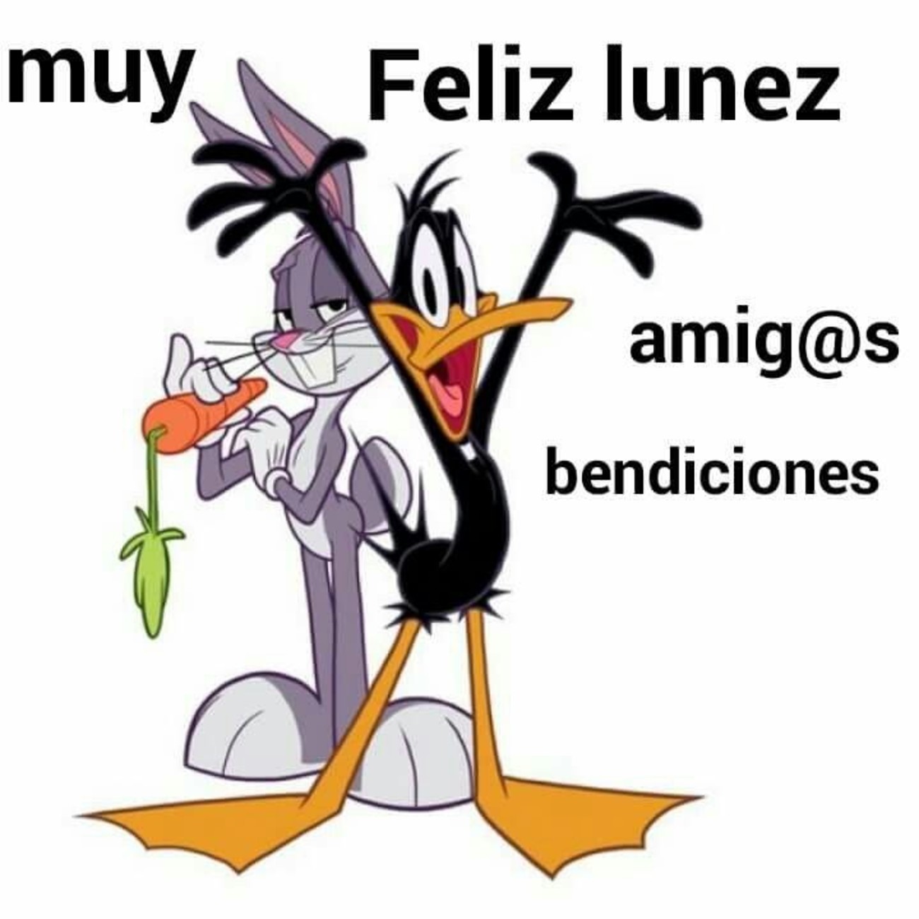 Feliz Lunes 117