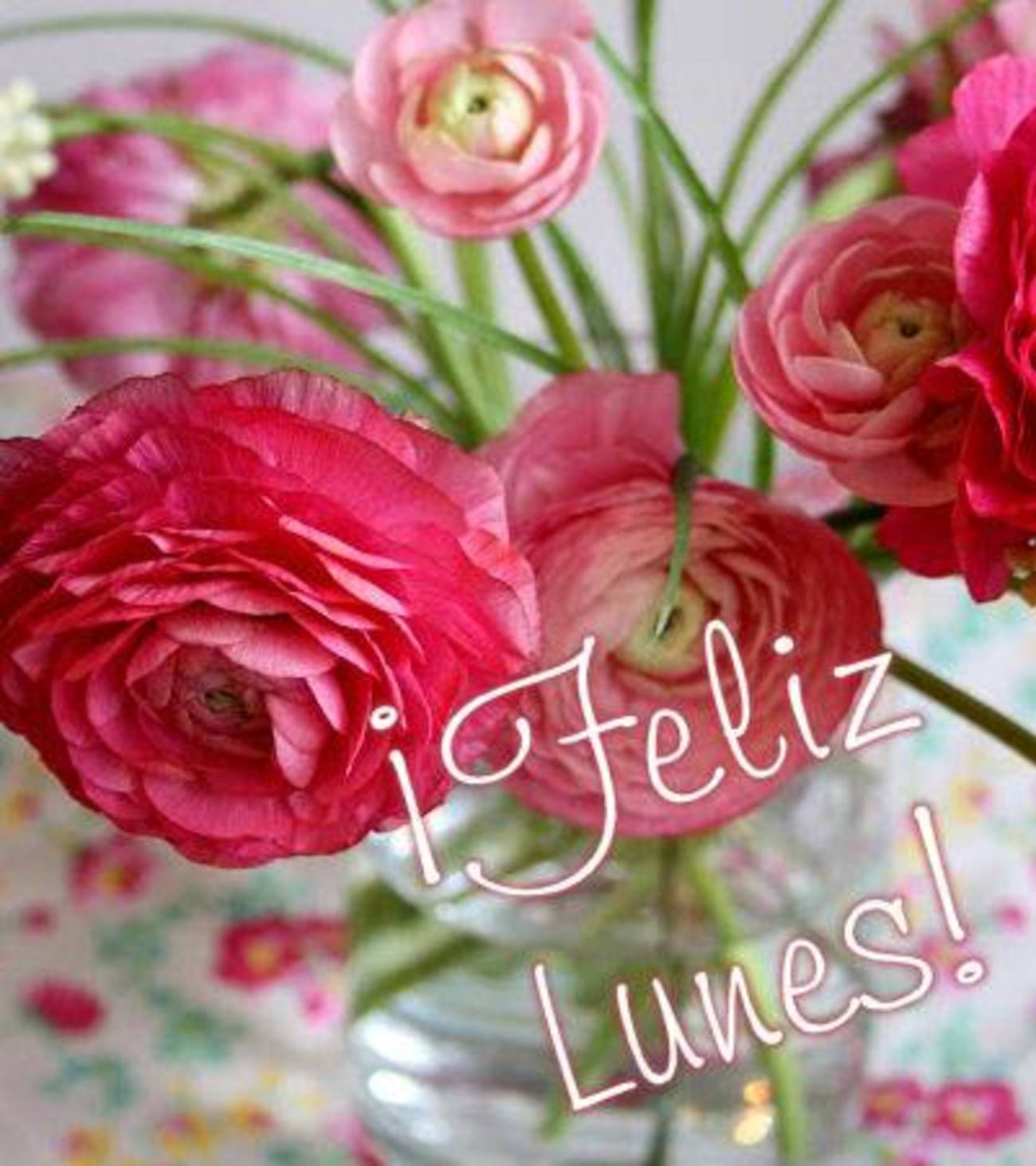 Feliz Lunes 118