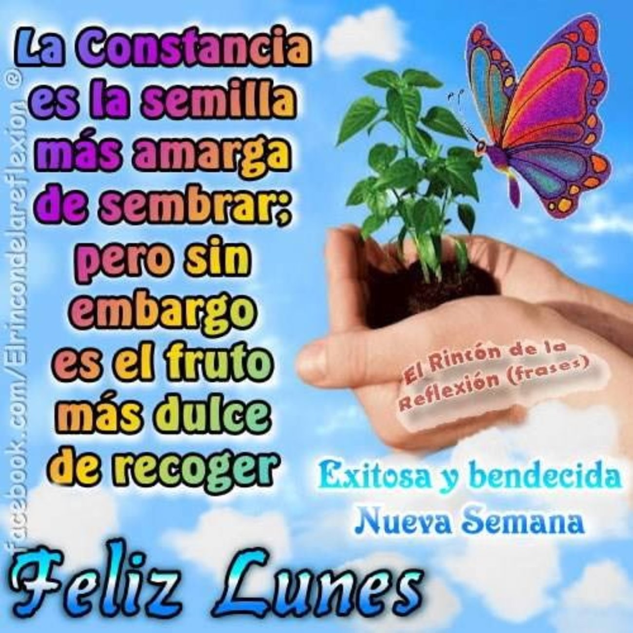 Feliz Lunes Buenos Días 