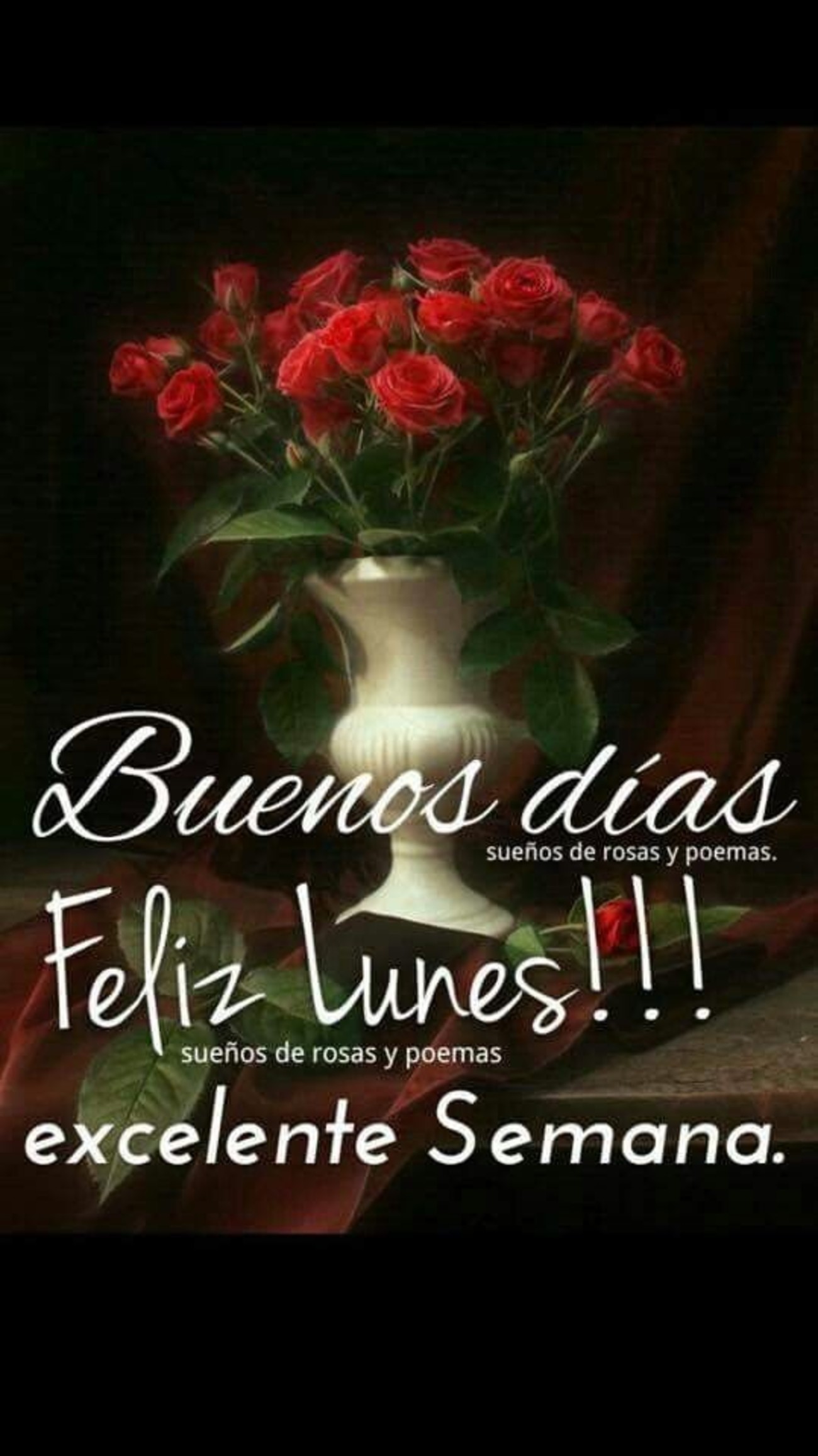 Feliz Lunes Buenos Días 