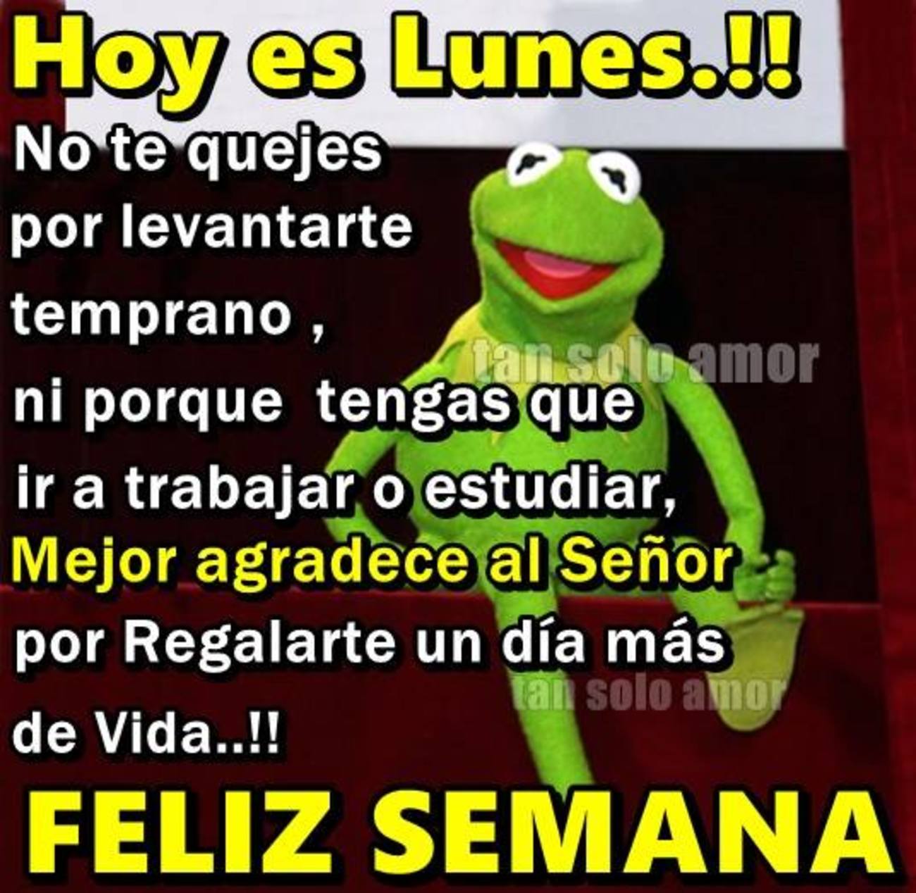 Feliz Lunes Pinterest 193