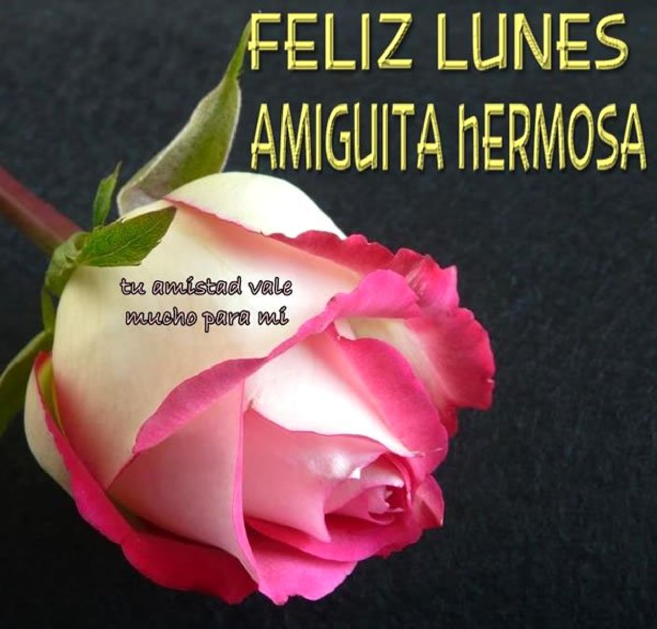 Feliz Lunes a todos mis amigos 239