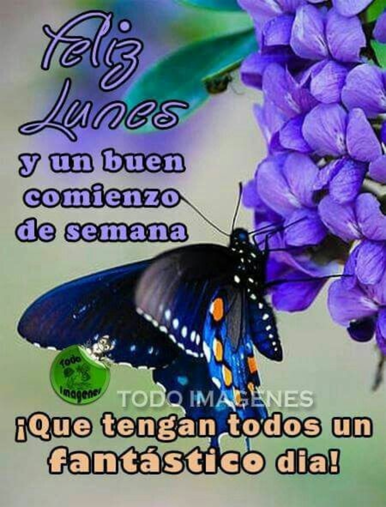 Feliz Lunes a todos mis amigos 24