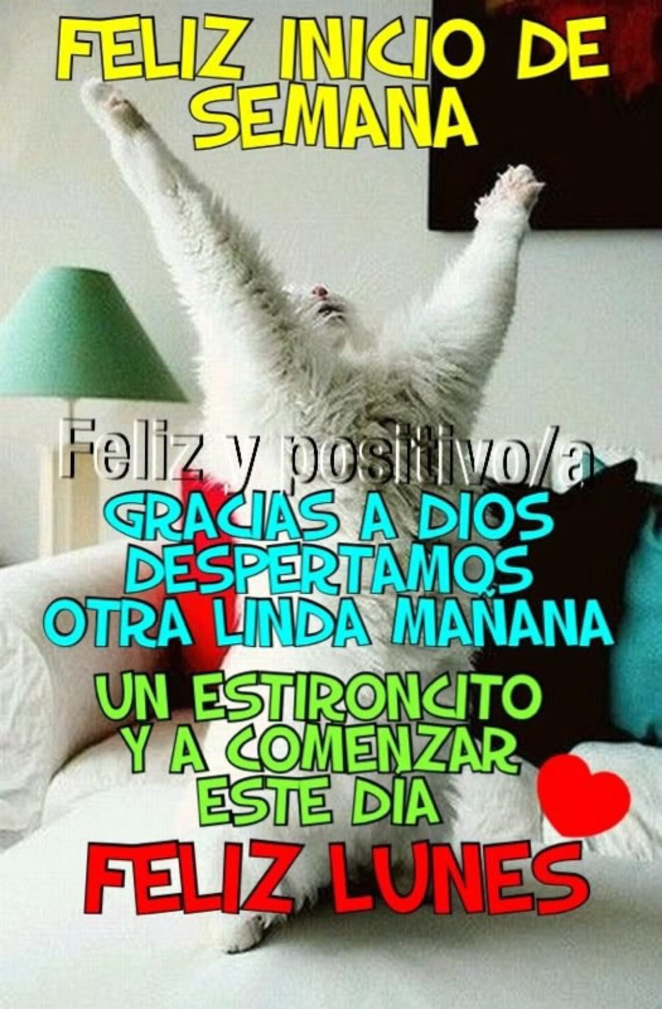 Feliz Lunes bellas imágenes 88