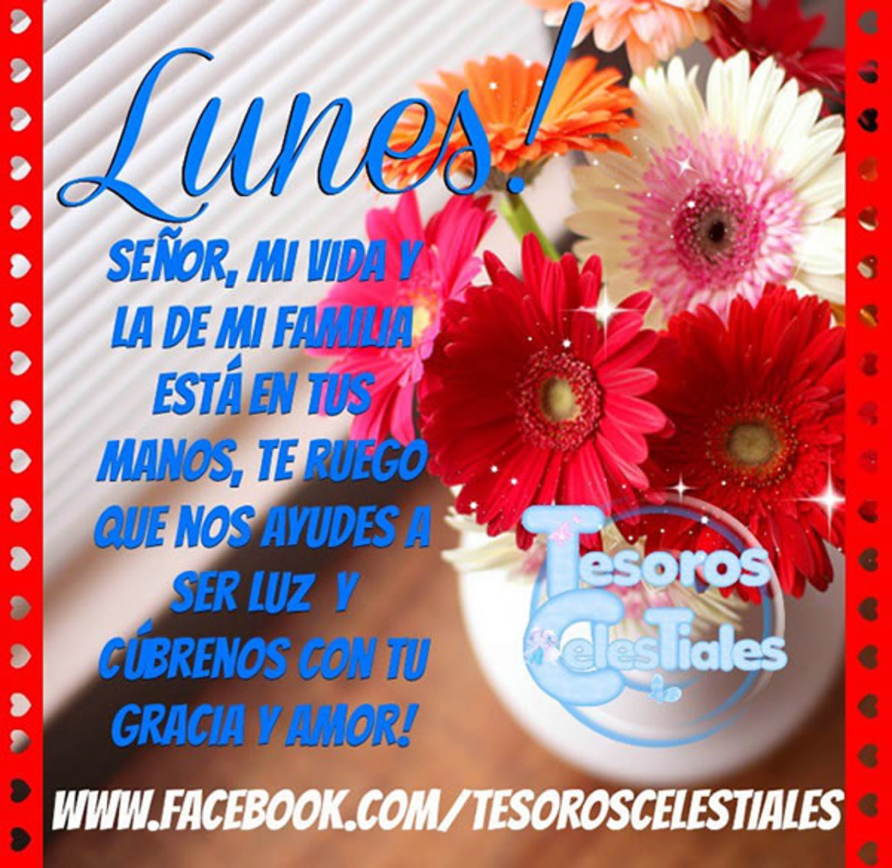 Feliz Lunes con flores imágenes 138 Feliz Lunes con flores imágenes 138