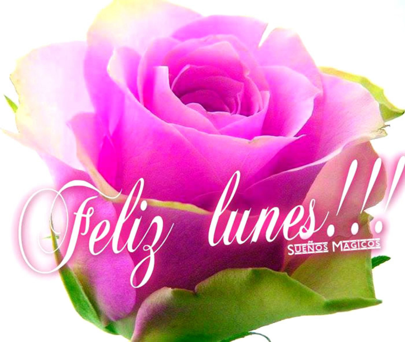 Feliz Lunes imágenes para compartir Archives - Página 2 de 4 - Feliz Lunes imágenes para compartir Archives - Página 2 de 4 -