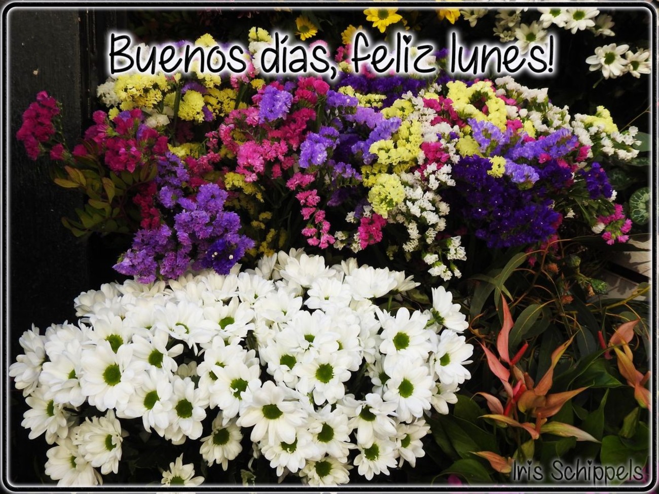 Feliz Lunes con flores imágenes 199