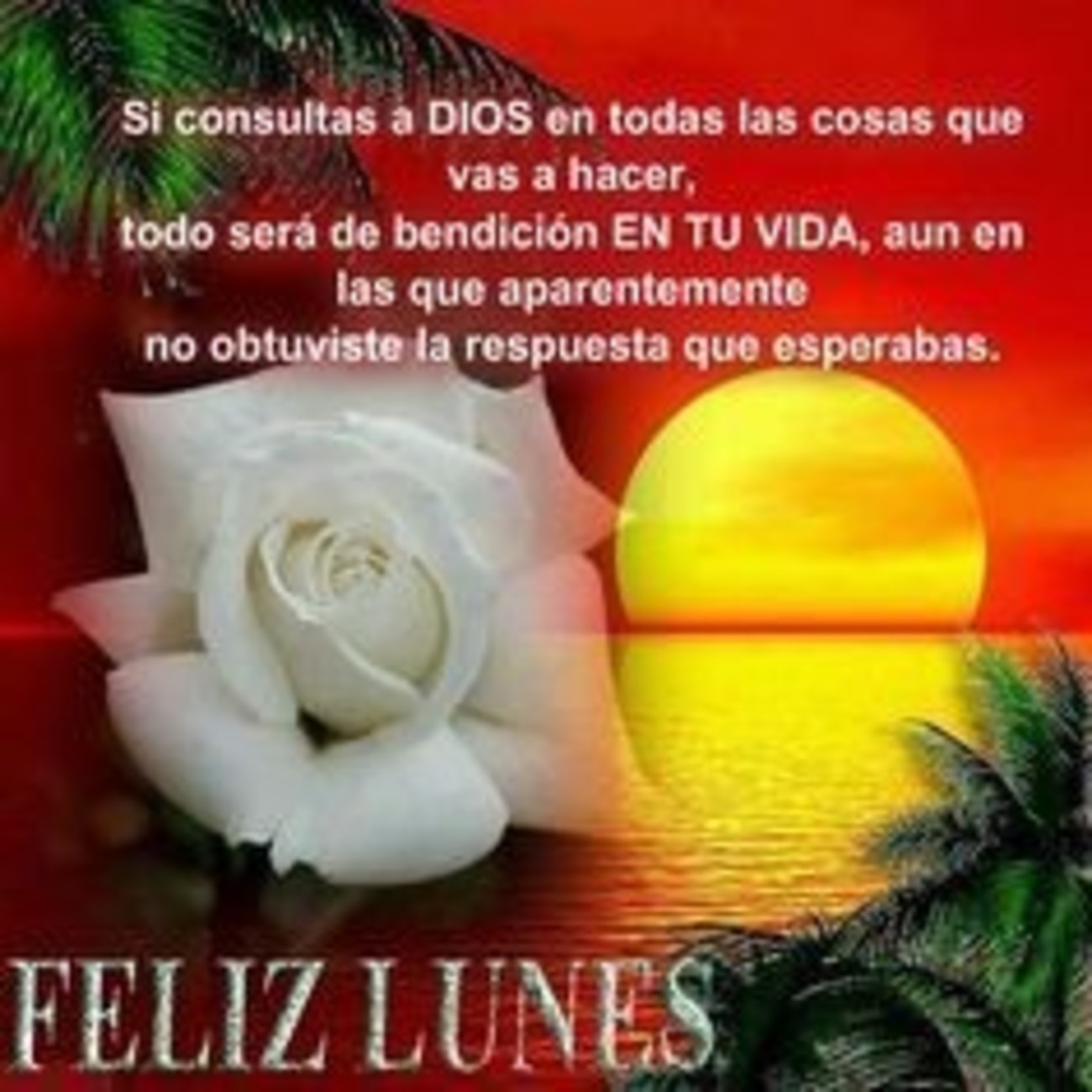 Feliz Lunes fotos Google 204