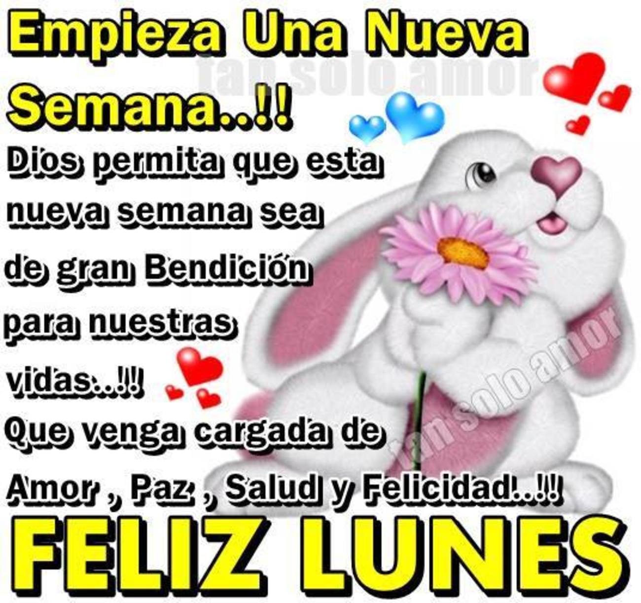 Feliz Lunes frases 39