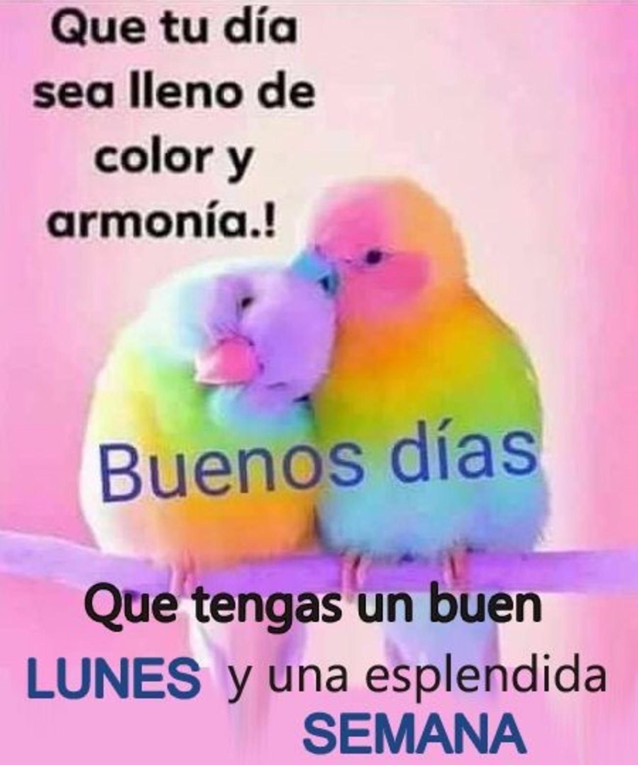 Feliz Lunes grupo 43 - BonitasImagenes.net