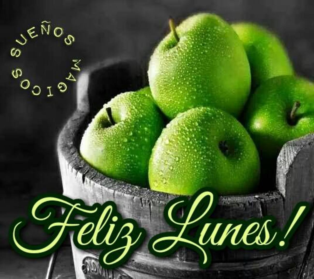 Feliz Lunes grupo 44