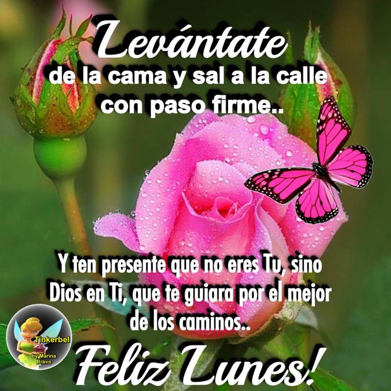 Feliz Lunes grupo 48