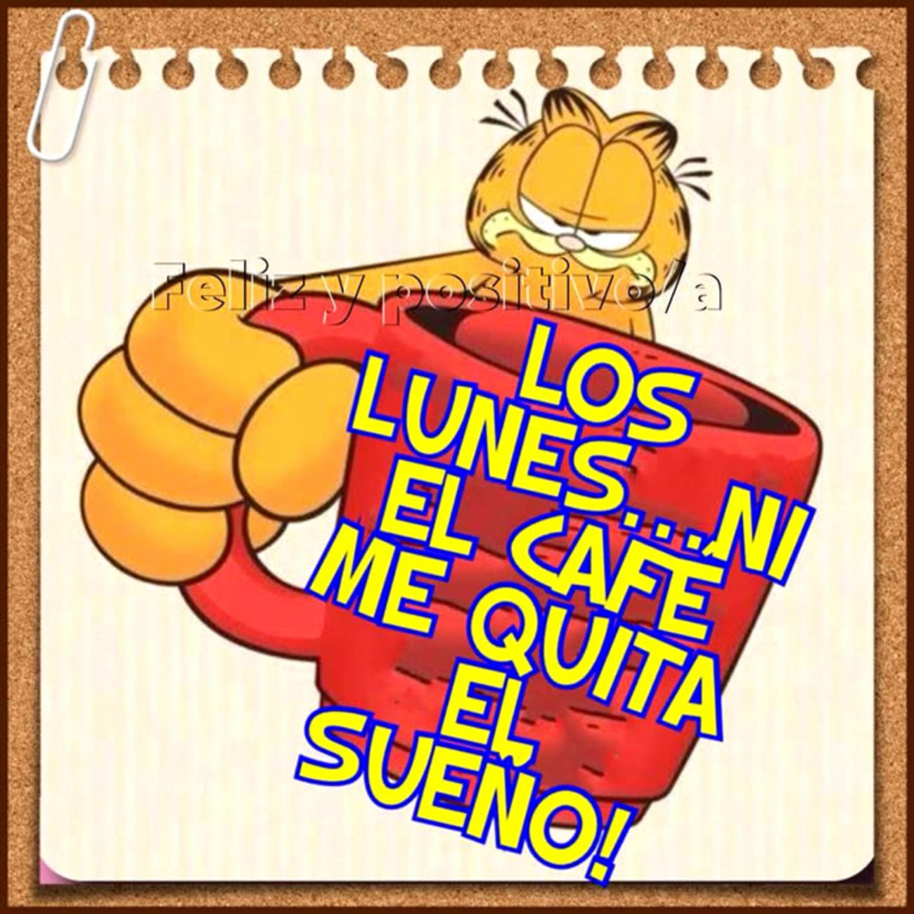 Feliz Lunes grupo 50