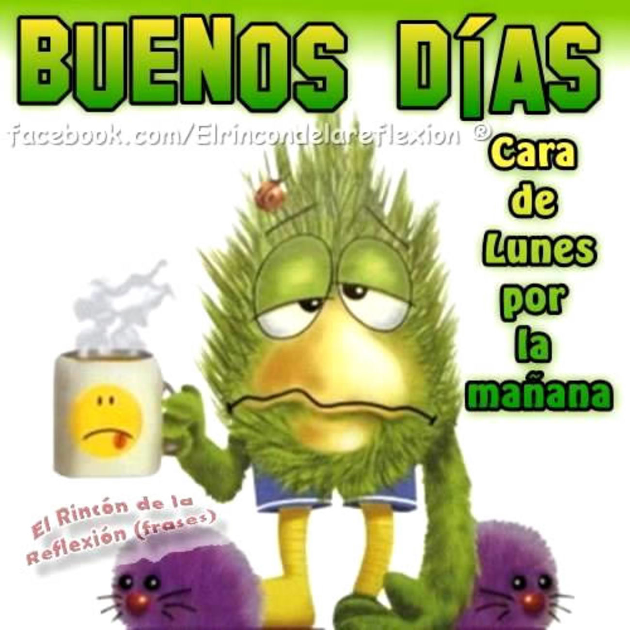 Feliz Lunes grupo 51