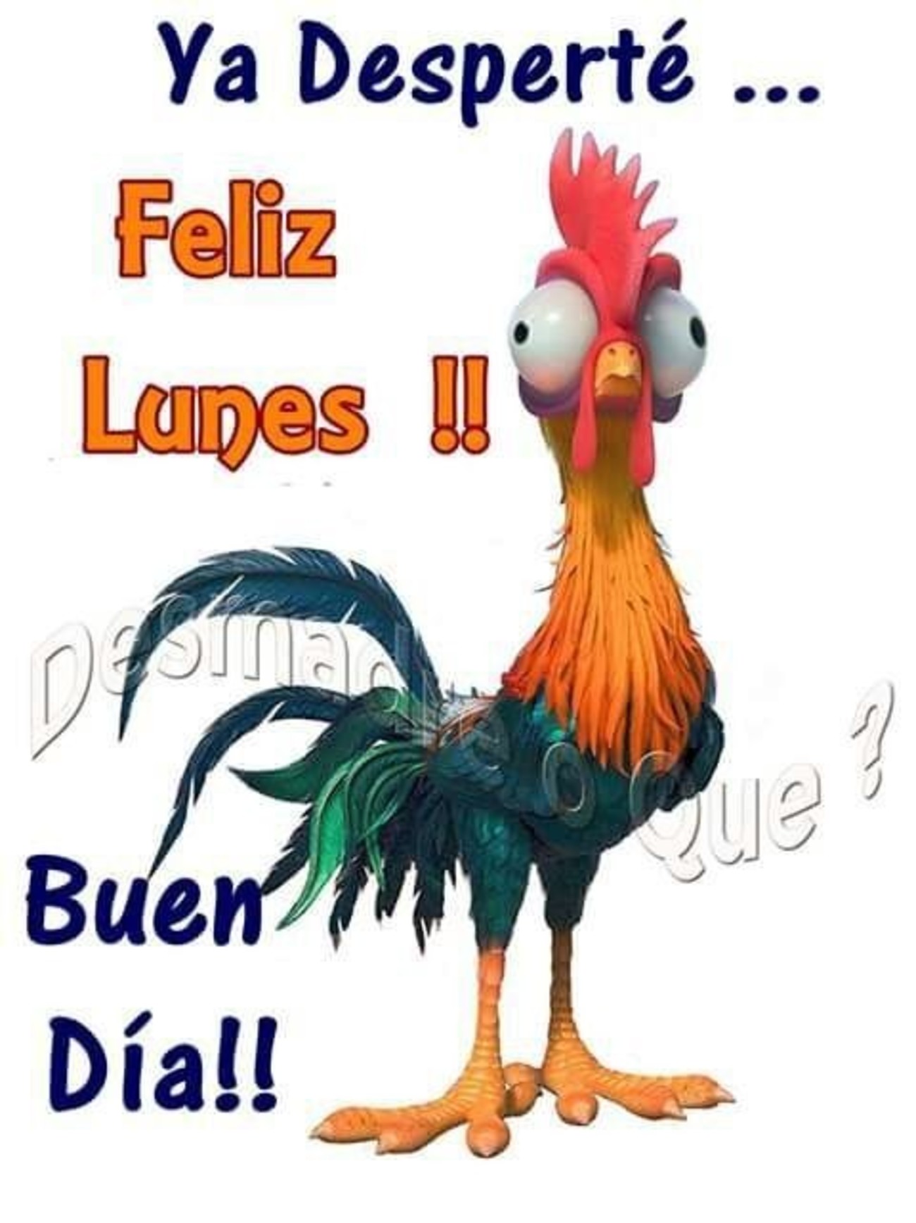 Feliz-Lunes-im%C%Agenes-chistosas-