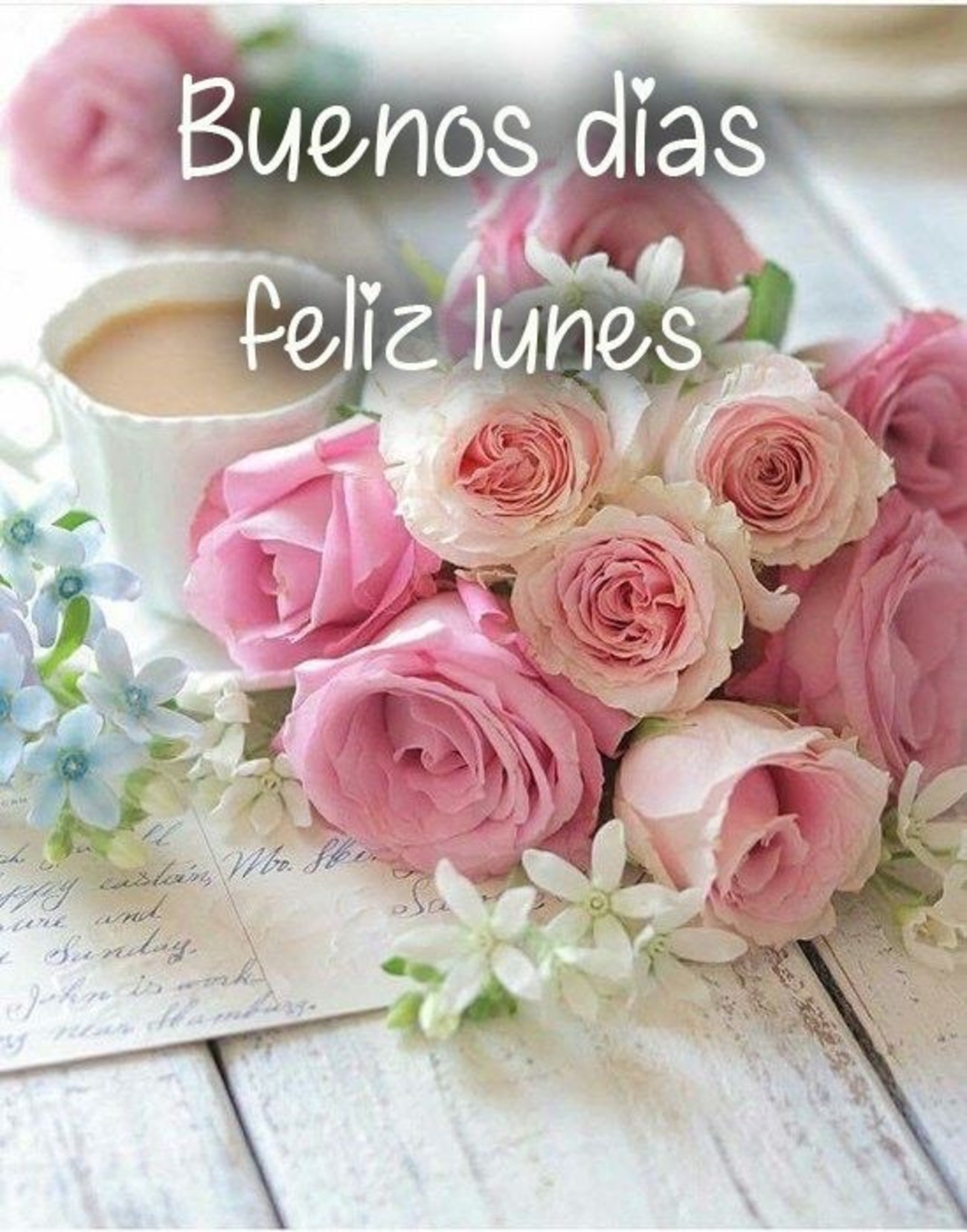 Feliz-Lunes-im%C%Agenes-para-WhatsApp-