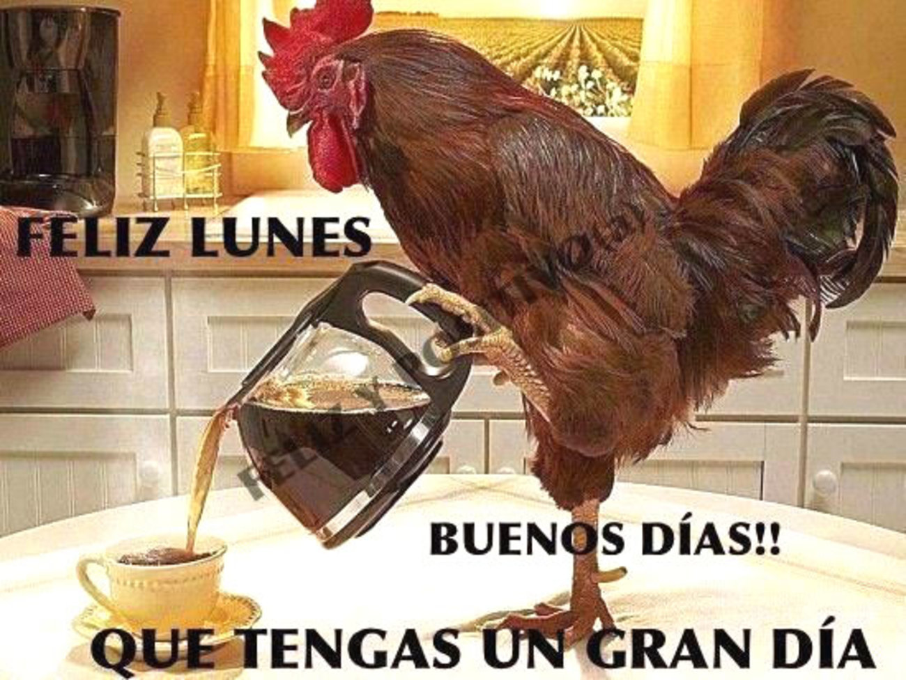 buen lunes gracioso