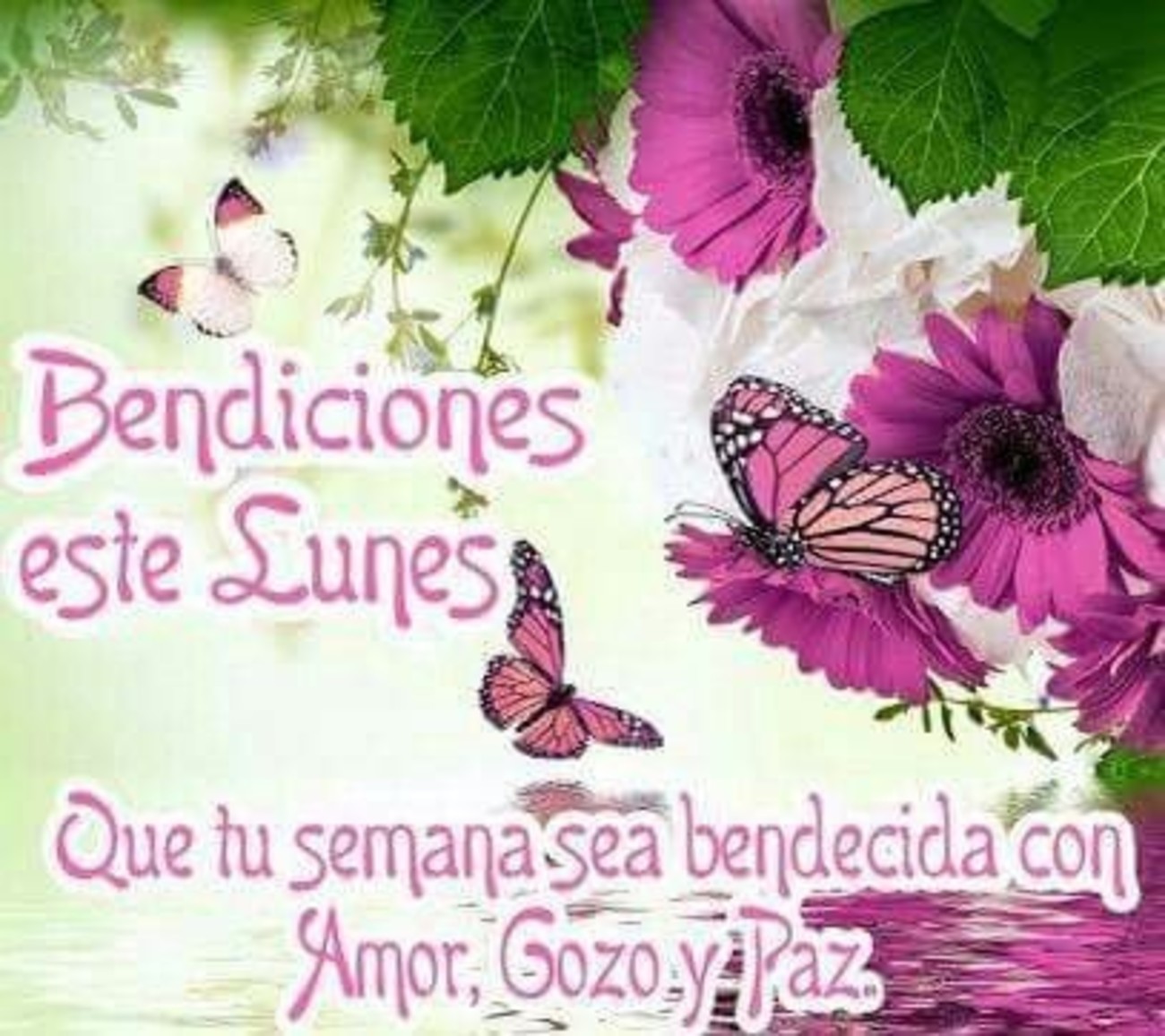 Feliz Lunes imágenes Pinterest WhatsApp 76