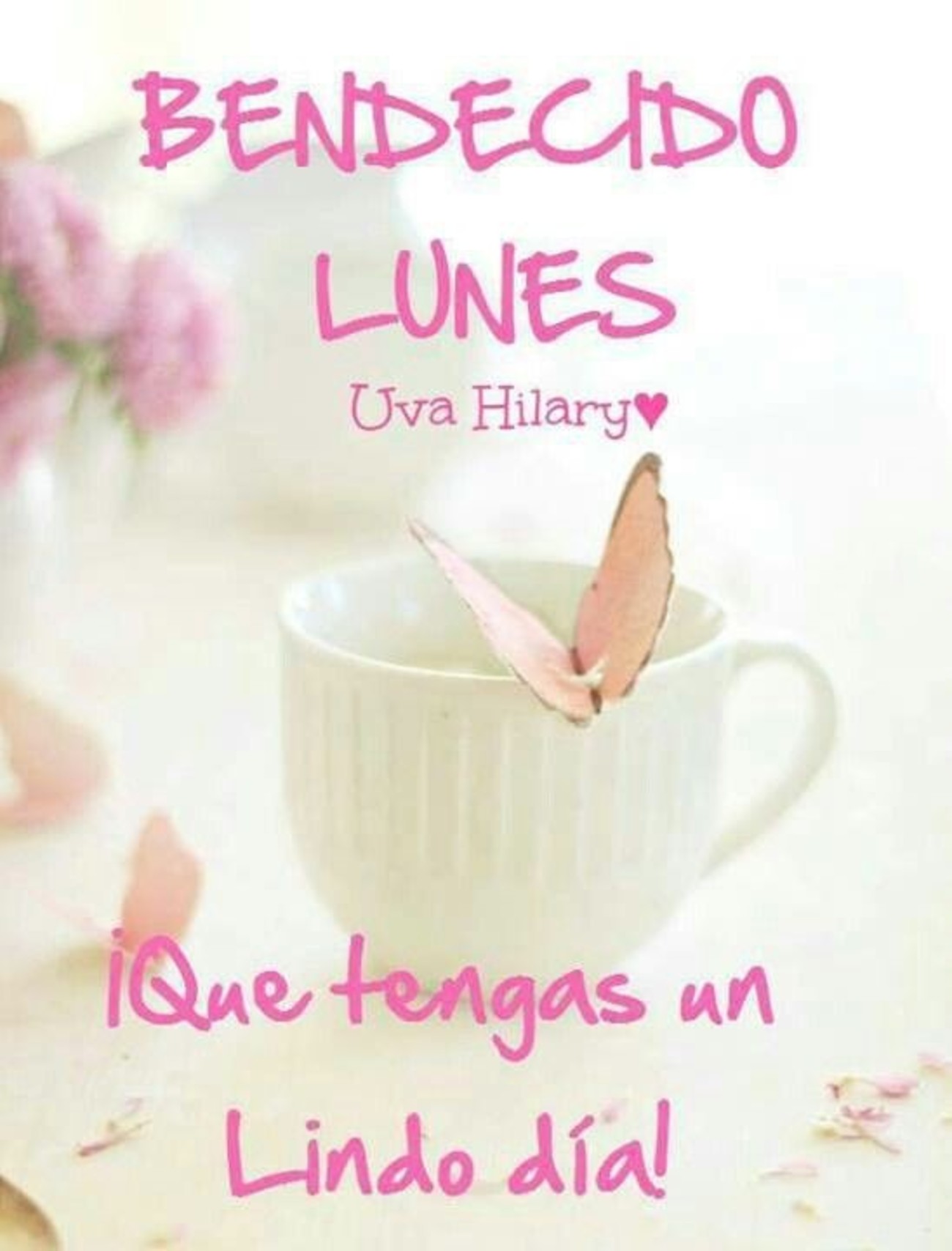 Feliz Lunes imágenes bellas 16