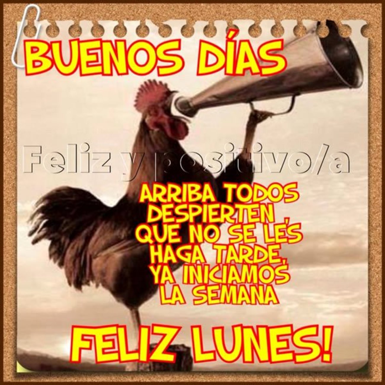 Feliz Lunes imágenes chistosas 253