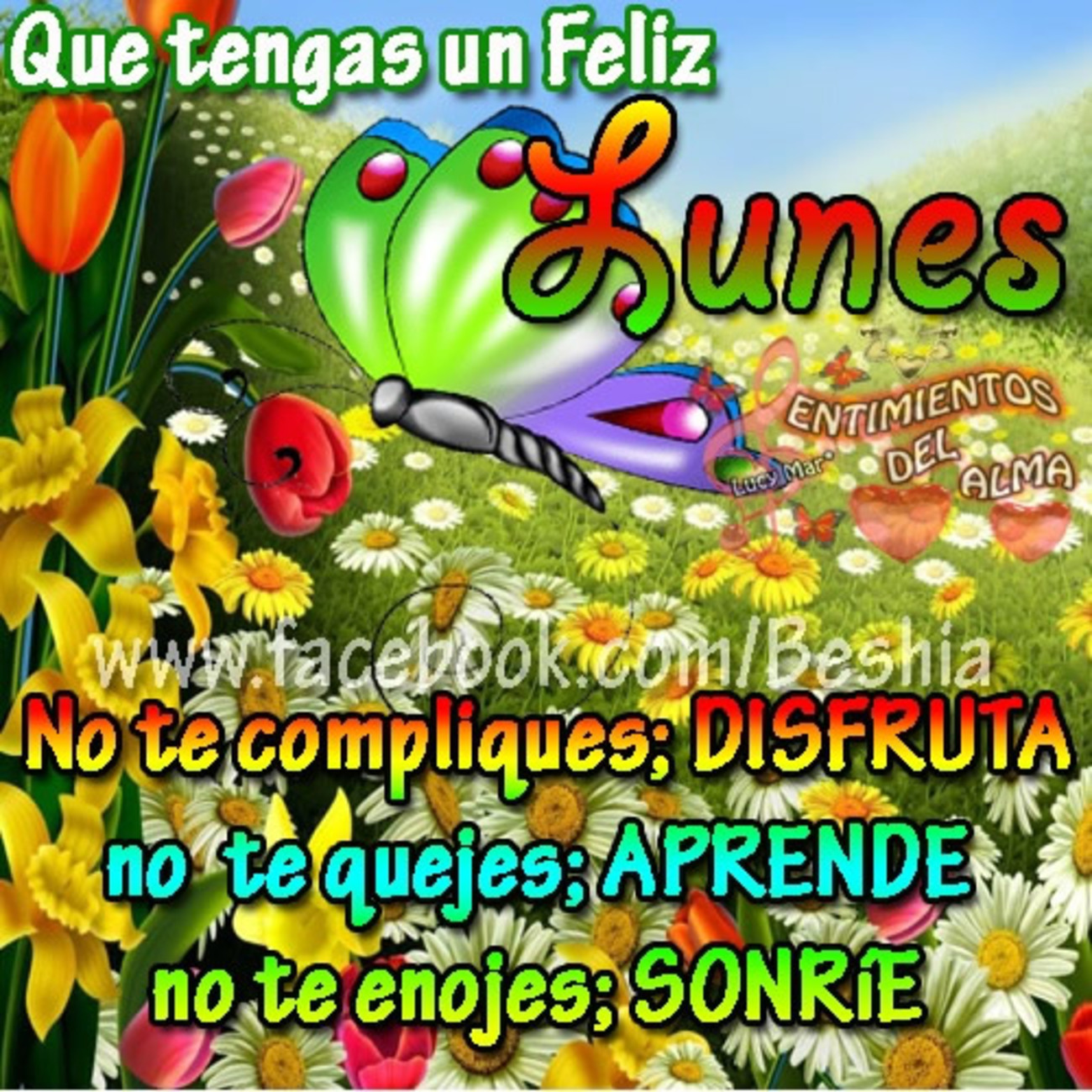 Feliz Lunes imágenes con frases 19