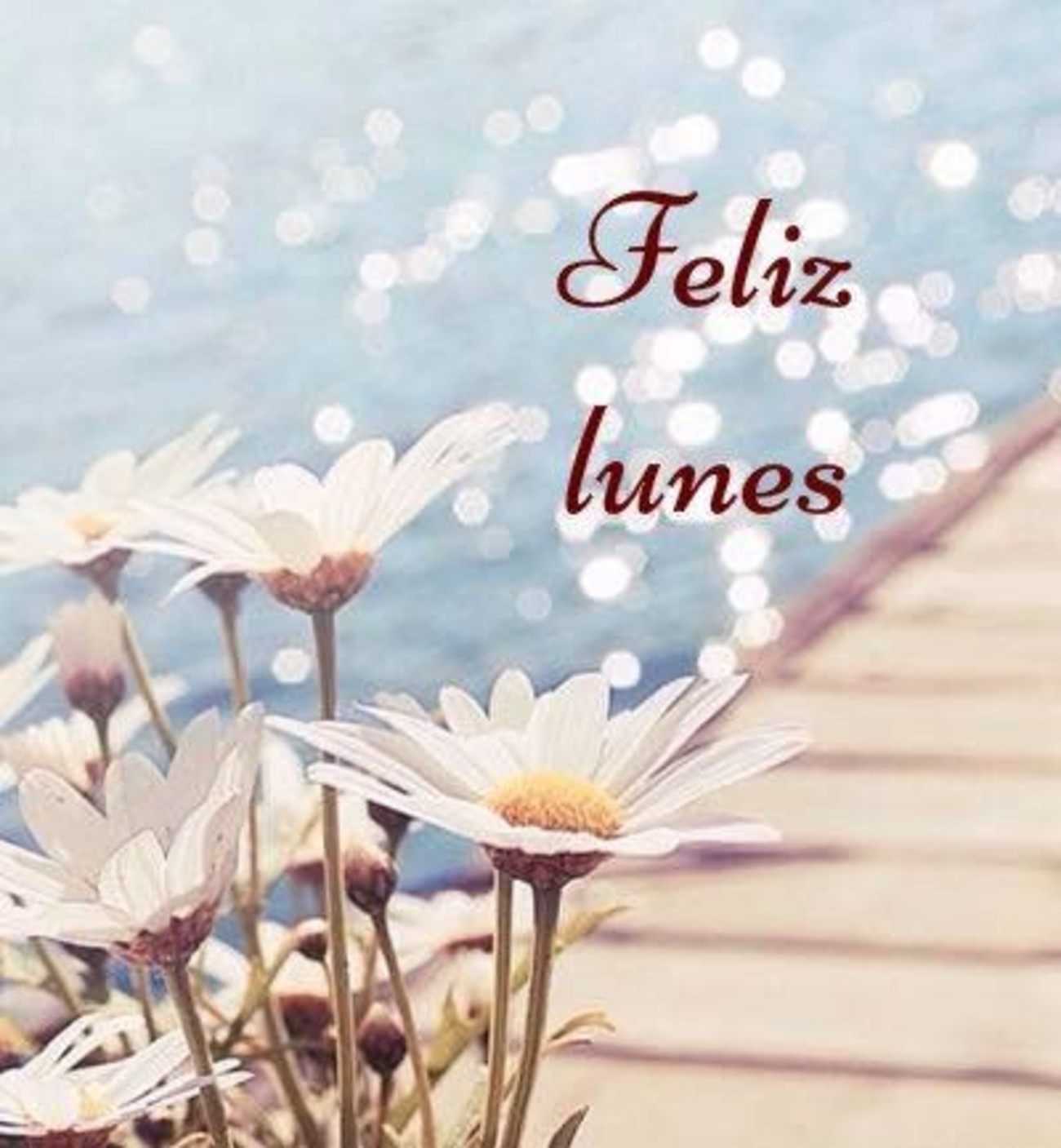 Feliz Lunes imágenes graciosas 64