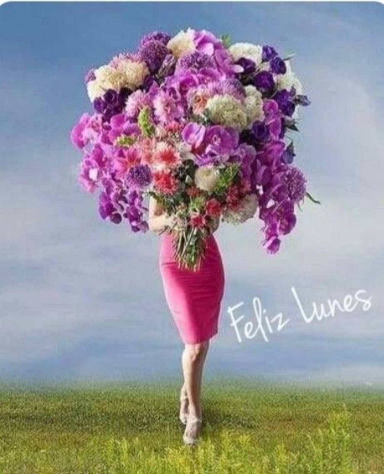 Feliz Lunes imágenes hermosas 151