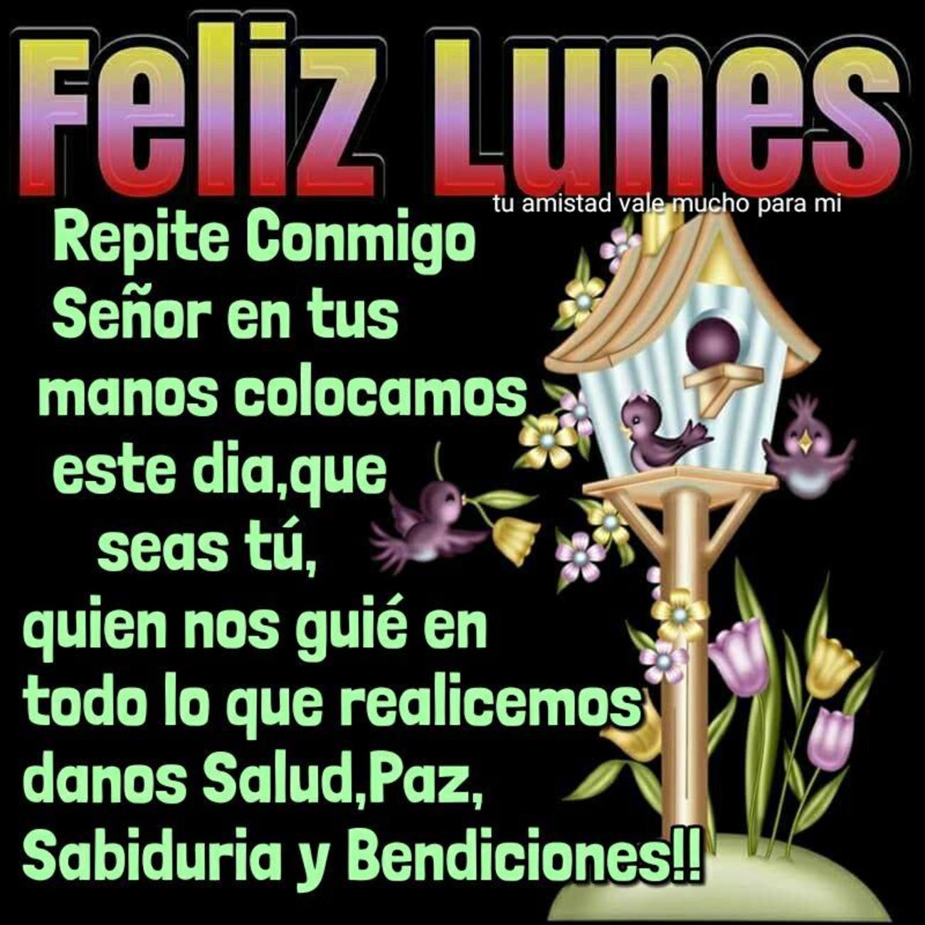 Feliz Lunes para todos imágenes 59