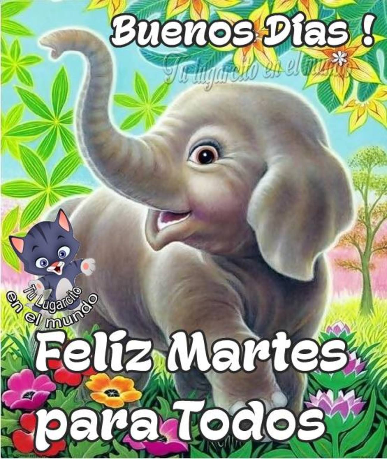 Feliz Martes Buen Día 301