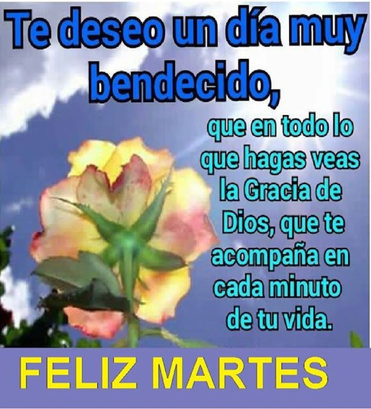 Feliz Martes Buenos Días 124 