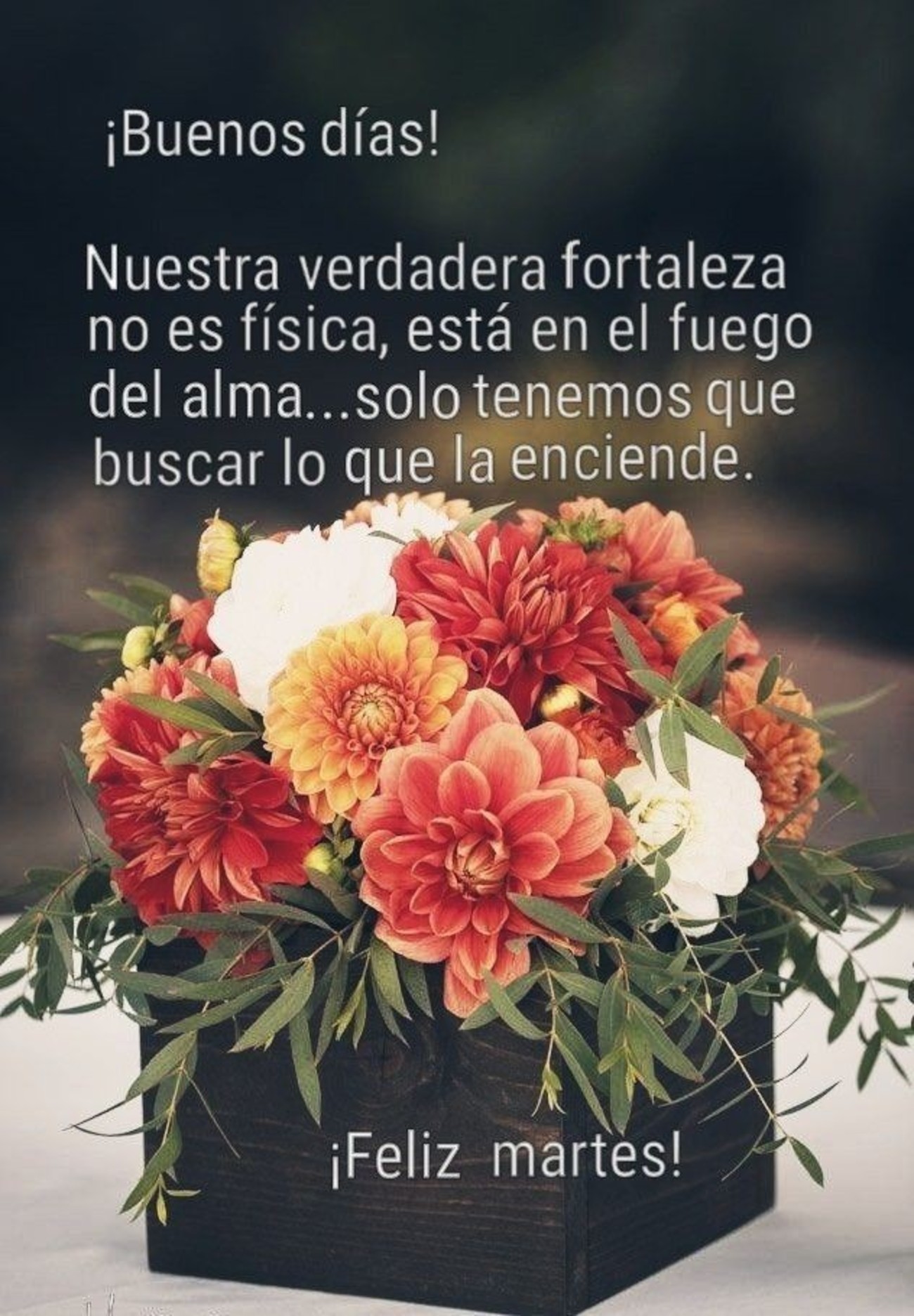 Feliz Martes Buenos Días Pinterest 239 