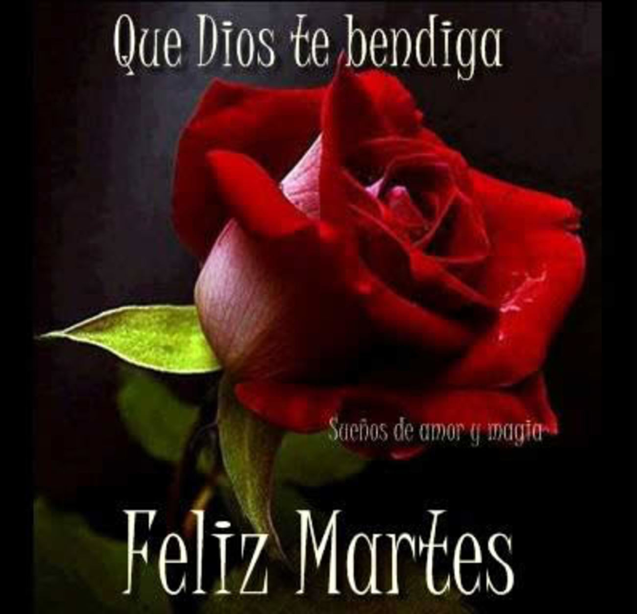 Feliz Martes Facebook 47