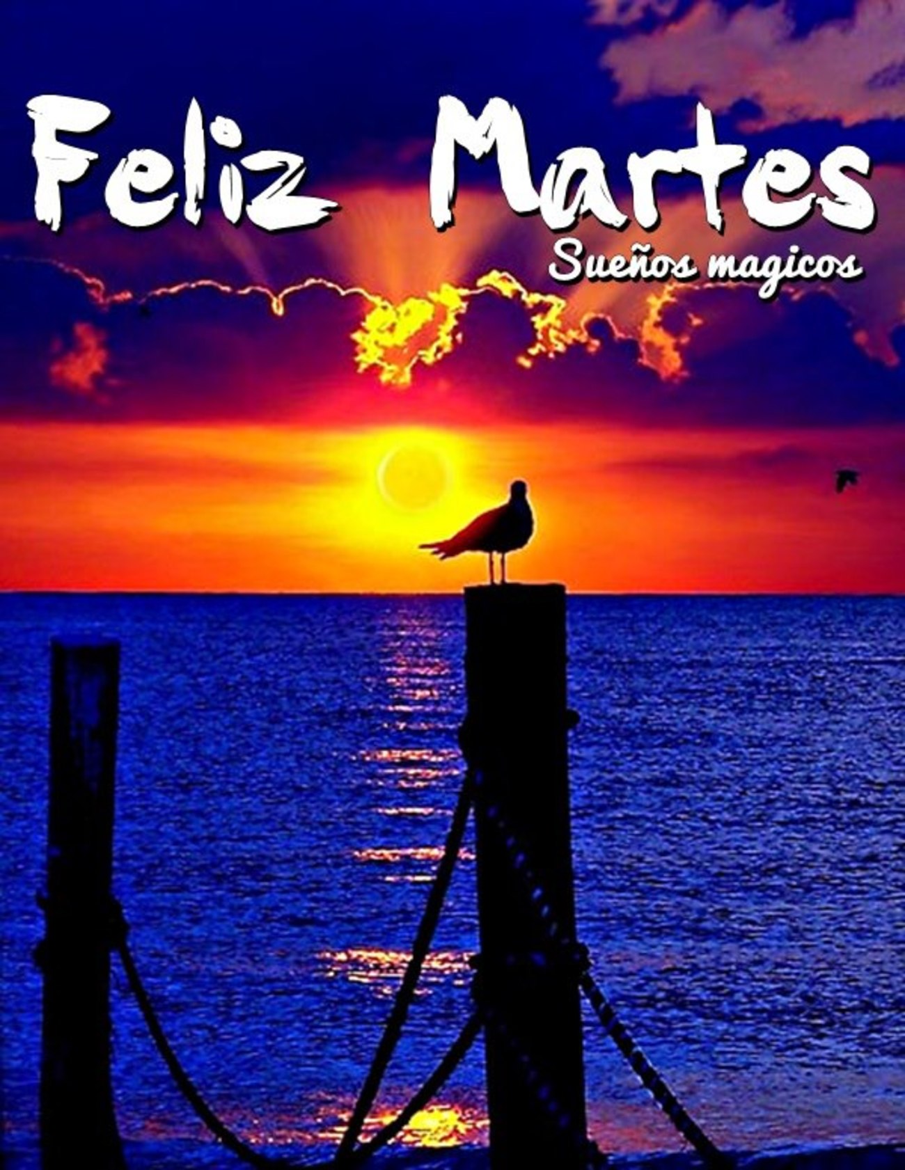 Feliz Martes Facebook 49