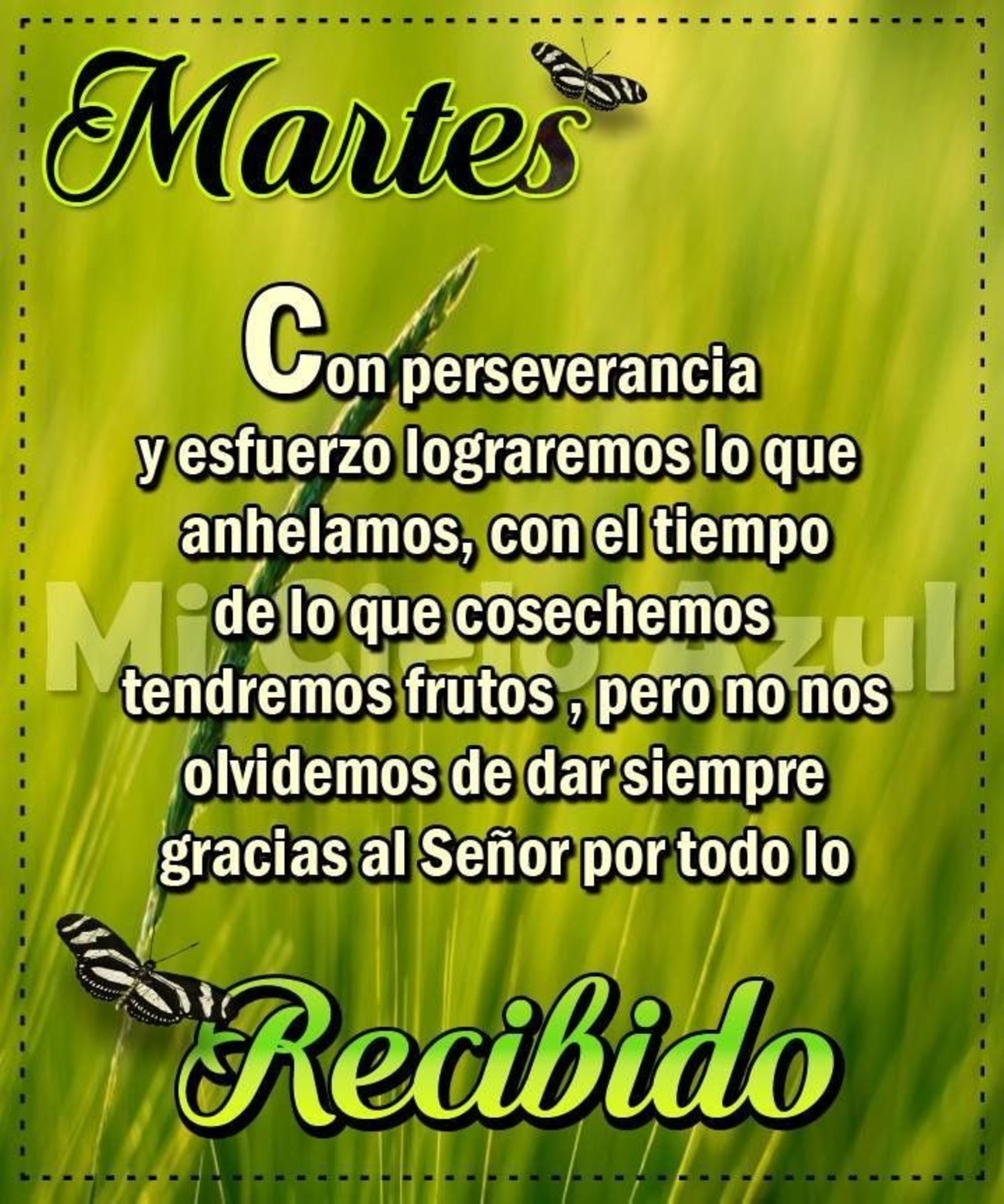 Feliz Martes Facebook 50