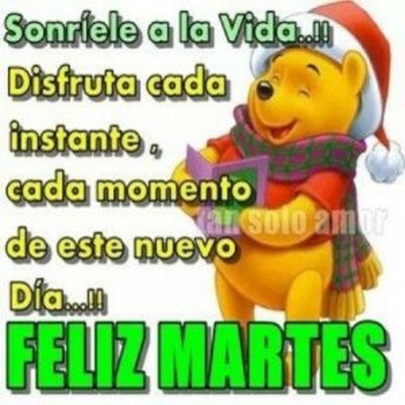 Feliz Martes Navidad 145