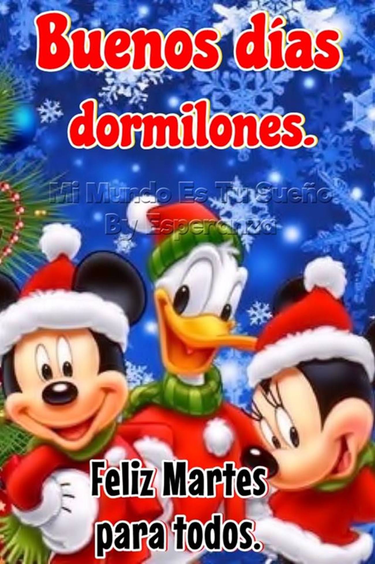 Feliz Martes Navidad 286